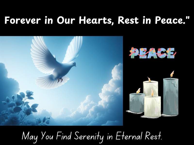 White dove flying in a blue sky with candles and a heartfelt rest in peace quote.