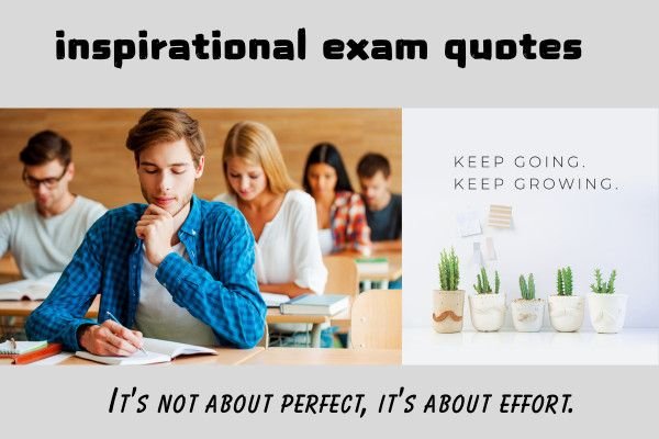 motivational exam quotes