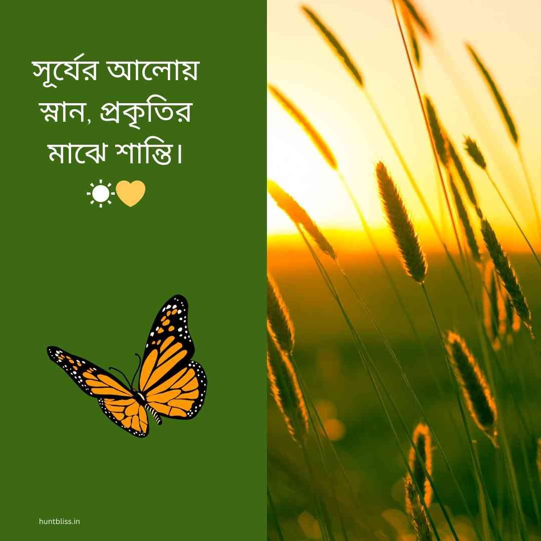Bengali caption with a butterfly and nature, featuring sunlight and a peaceful atmosphere.