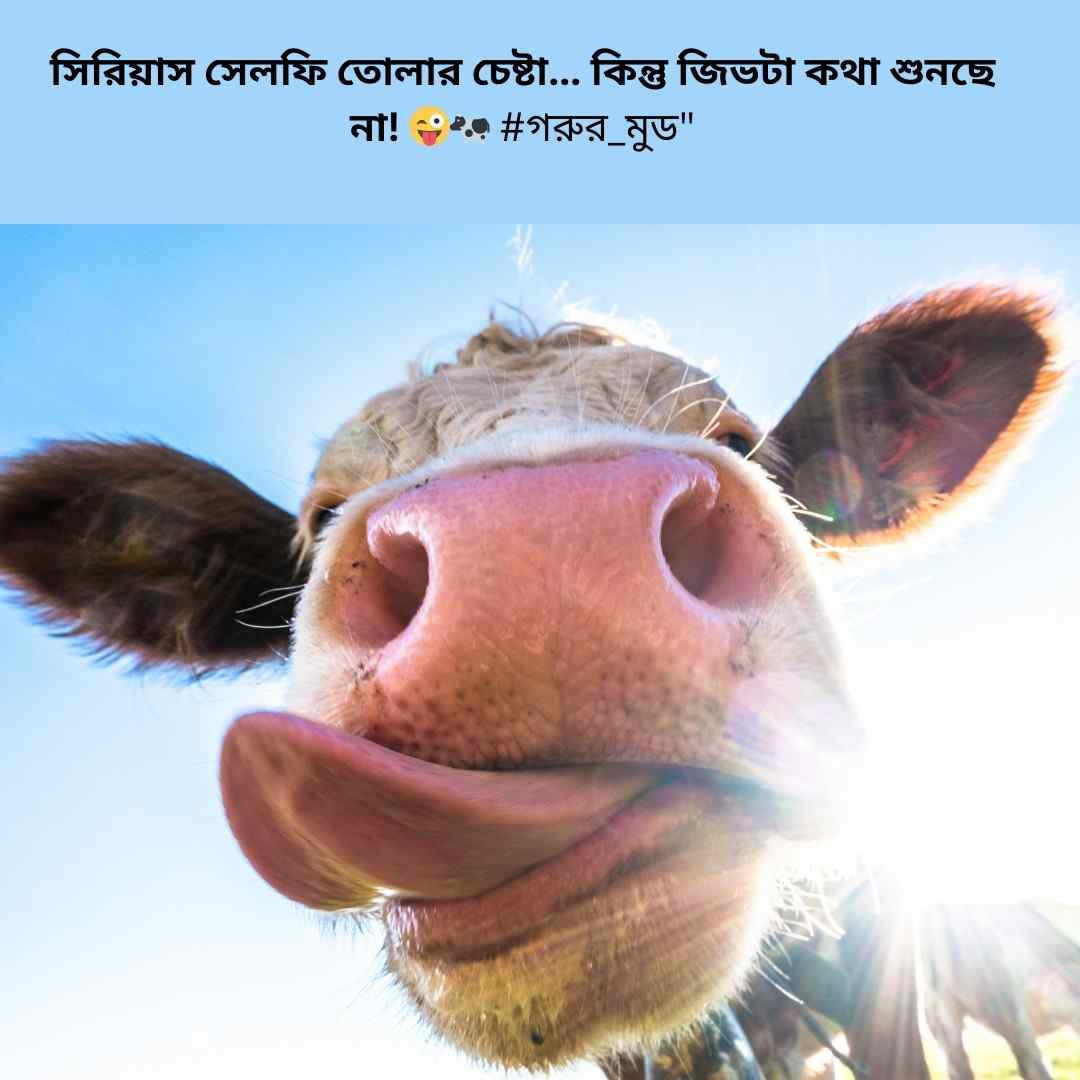 মজার মুহূর্তের জন্য ফেসবুকের সেরা বাংলা ক্যাপশন