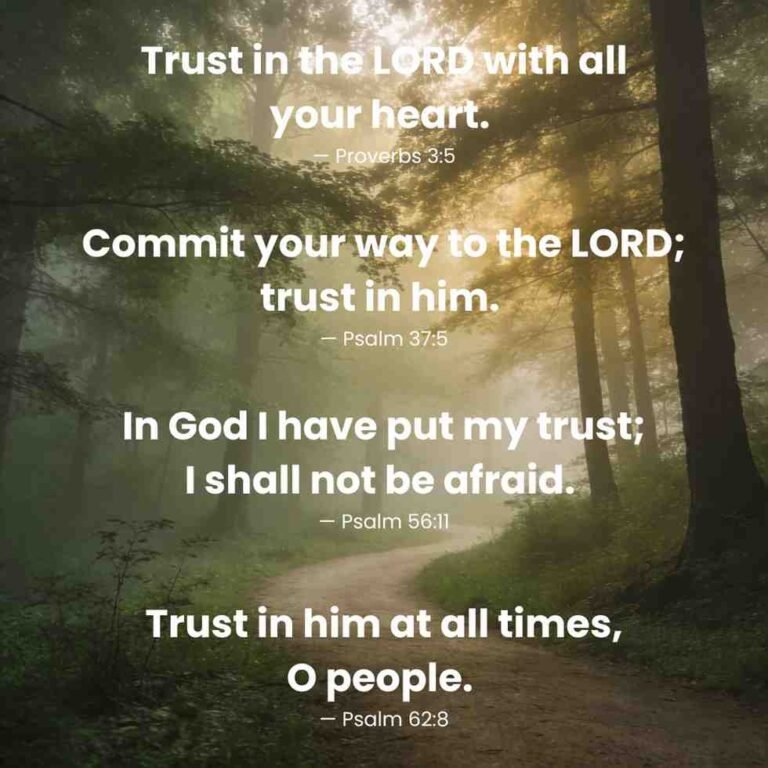 bible quotes hard times trust
